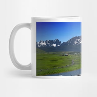 850_1802 Mug